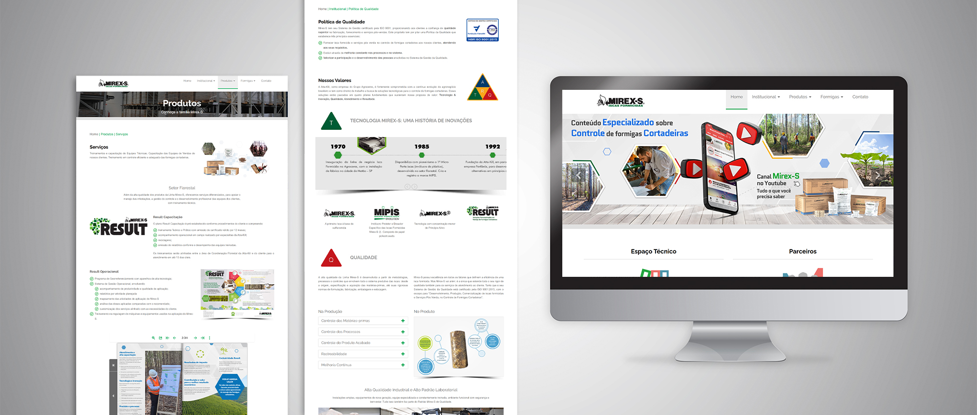 Site Institucional Mirex-S