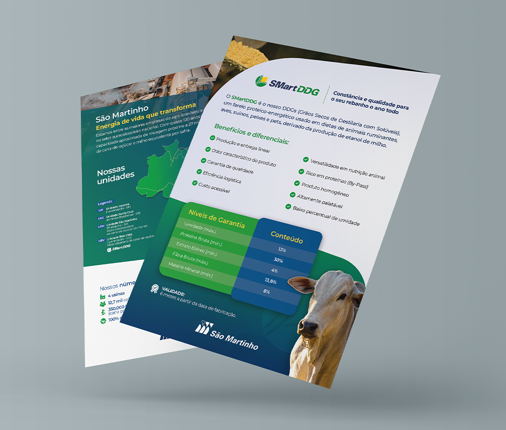 Flyer da São Martinho